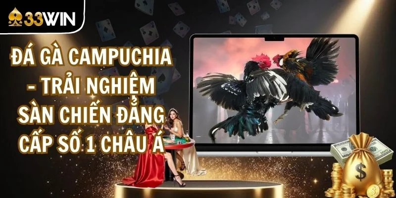 Đá Gà Campuchia - Trải Nghiệm Sàn Chiến Đẳng Cấp Số 1 Châu Á