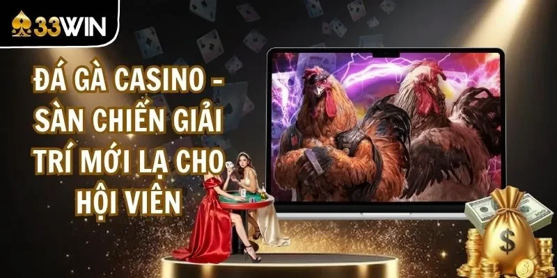 Đá Gà Casino - Sàn Chiến Giải Trí Mới Lạ Cho Hội Viên