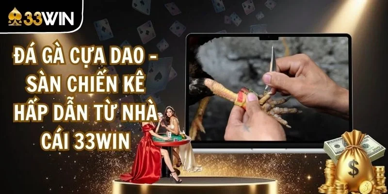 Đá Gà Cựa Dao - Sàn Chiến Kê Hấp Dẫn Từ Nhà Cái 33WIN