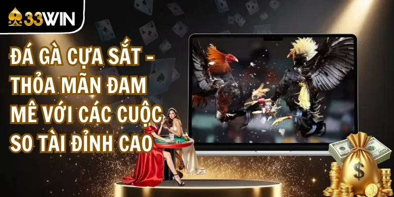 Đá Gà Cựa Sắt - Thỏa Mãn Đam Mê Với Các Cuộc So Tài Đỉnh Cao