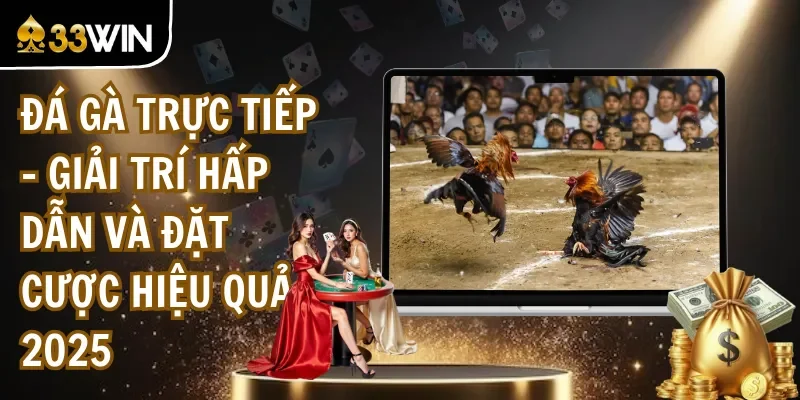 Đá Gà Trực Tiếp - Giải Trí Hấp Dẫn Và Đặt Cược Hiệu Quả 2025